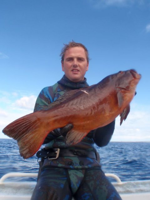 Todd Trout Todd Trout